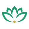 Lotus Assurance